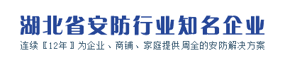 湖北省安防行業(yè)知名企業(yè)